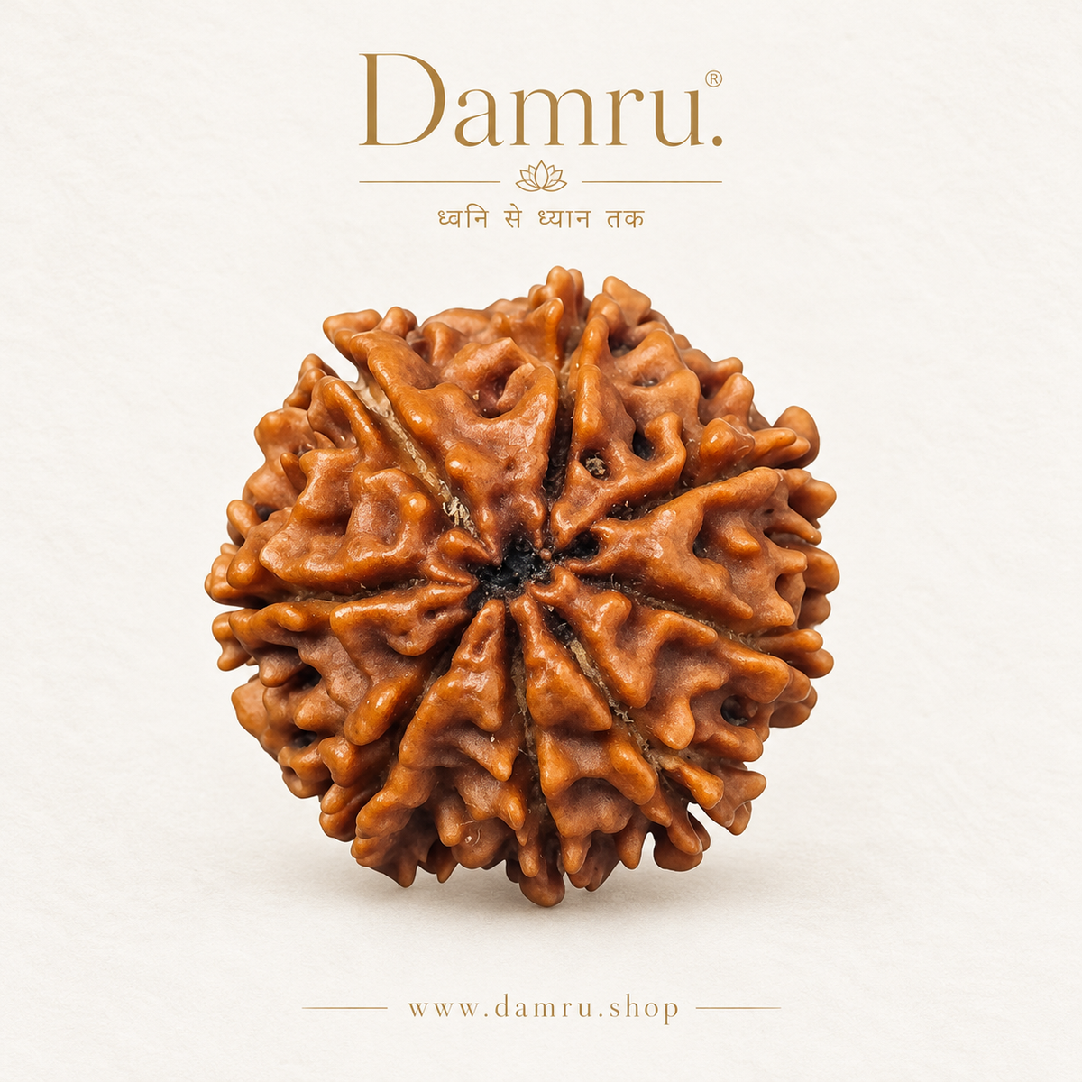 Collector Nepali 8 Mukhi Rudraksha – Rare High-Grade Natural Bead