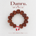 7 Mukhi Nepali Rudraksha Bracelet | Natural & Lab-Certified – DAMRU