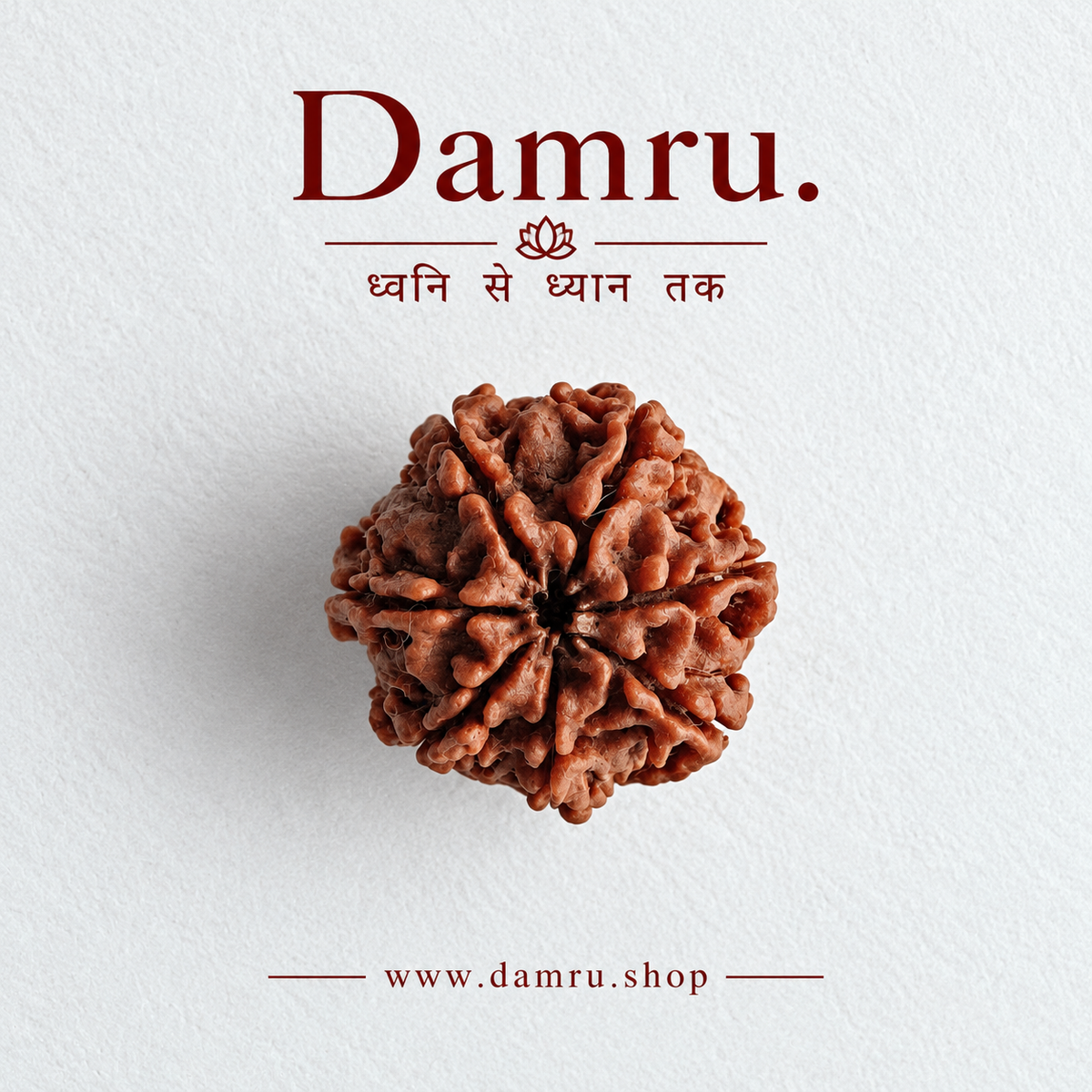 Authentic 7 Mukhi Nepali Rudraksha (Seven Faced).