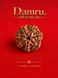 Authentic 7 Mukhi Nepali Rudraksha (Seven Faced).