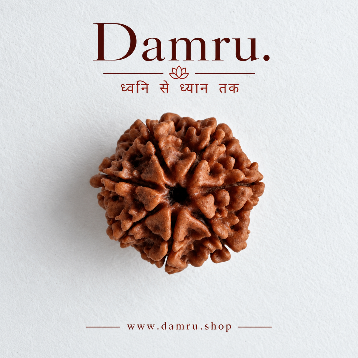 Authentic 7 Mukhi Nepali Rudraksha (Seven Faced).