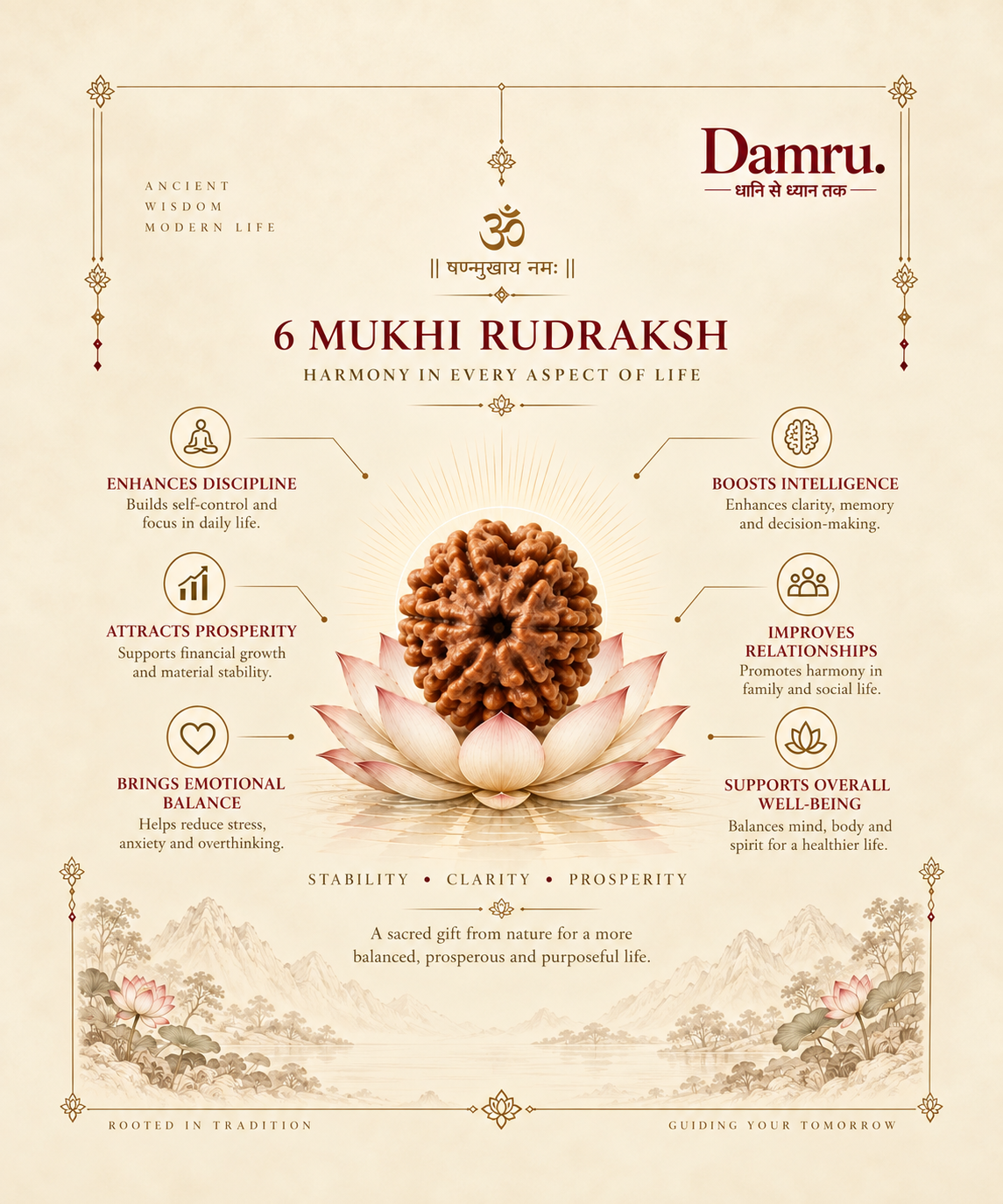 Original Damru 6 Mukhi Rudraksha | Collector Size | 100% Natural