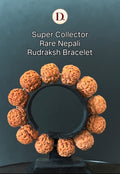 Authentic Super Collector Rare Nepali Rudraksha Bracelet