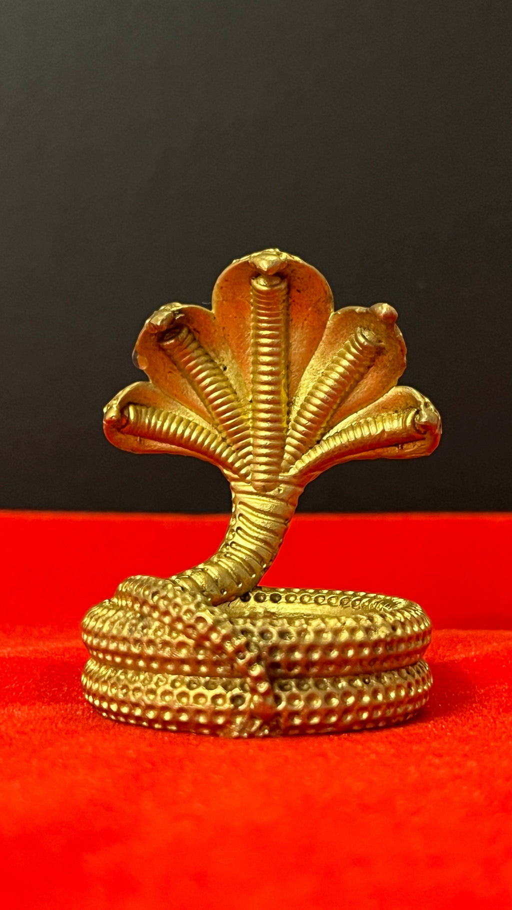Brass Naag