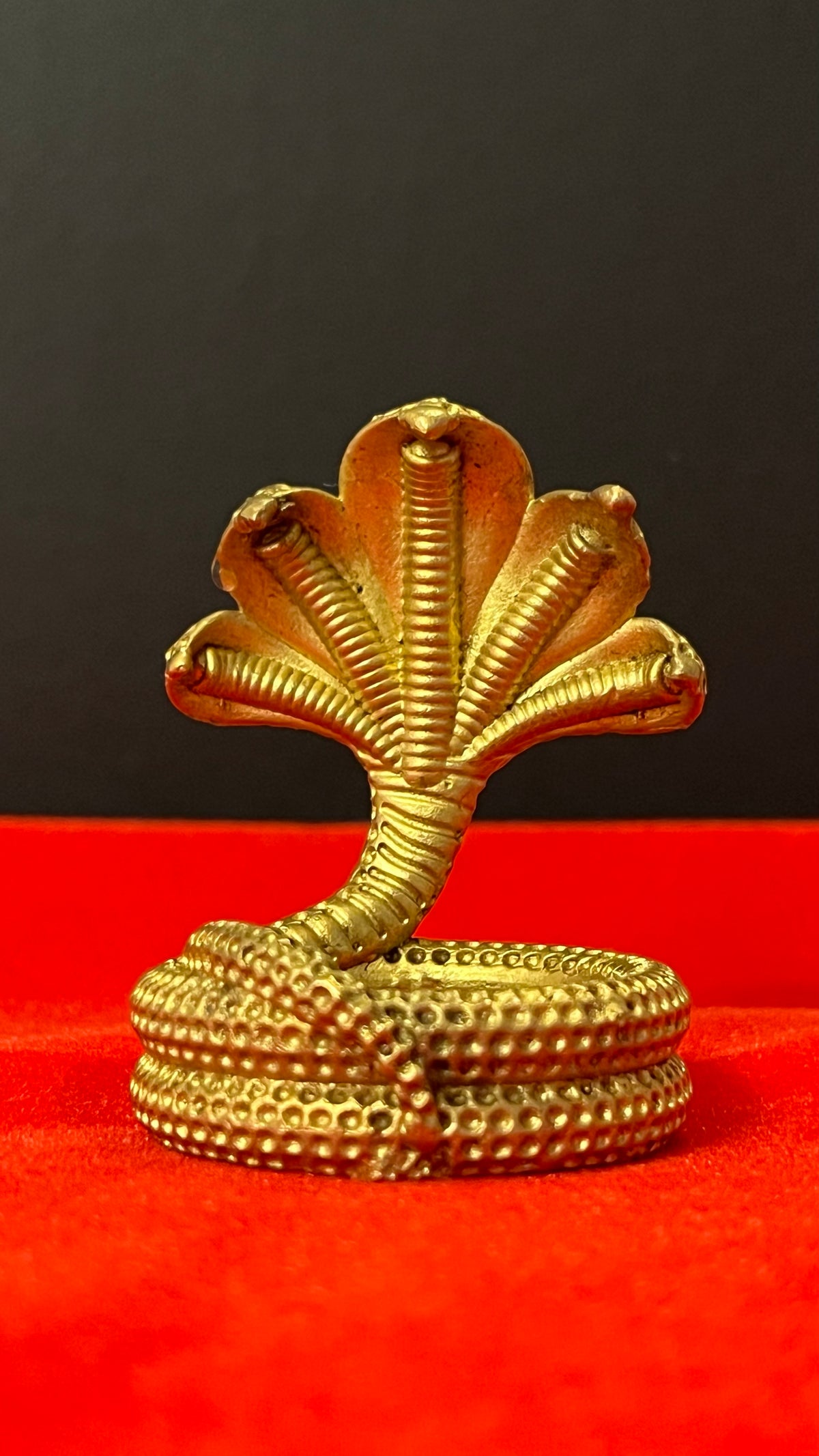 Brass Naag