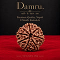 Collector Nepali 8 Mukhi Rudraksha – Rare High-Grade Natural Bead