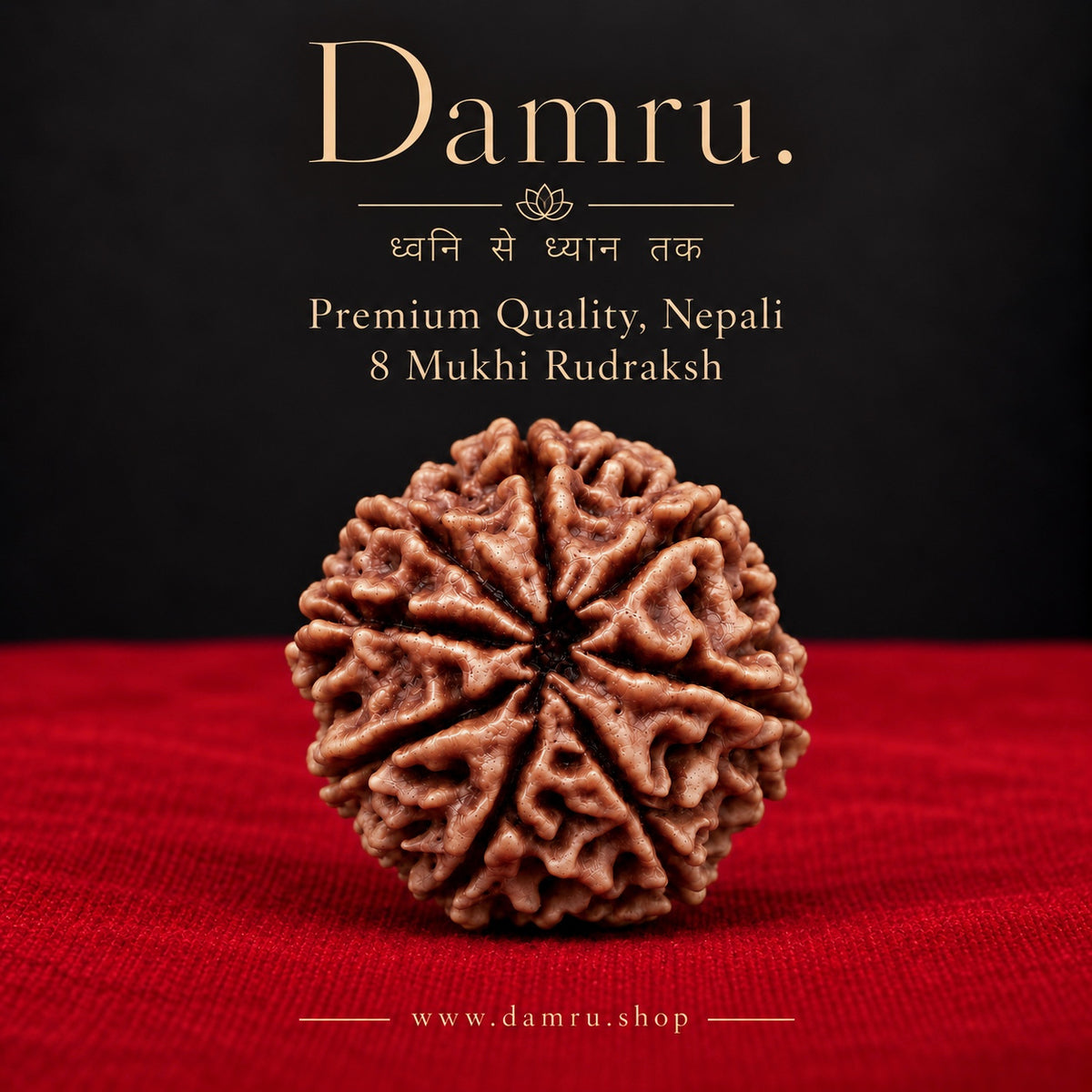 Collector Nepali 8 Mukhi Rudraksha – Rare High-Grade Natural Bead