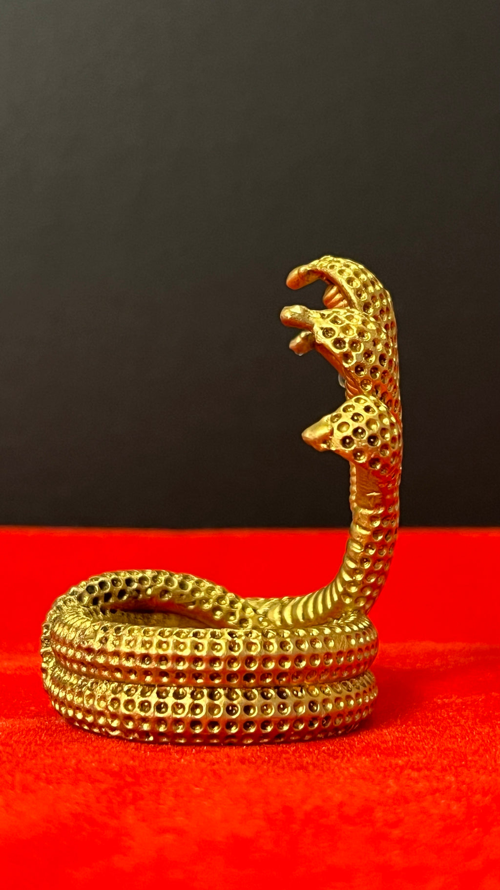Brass Naag