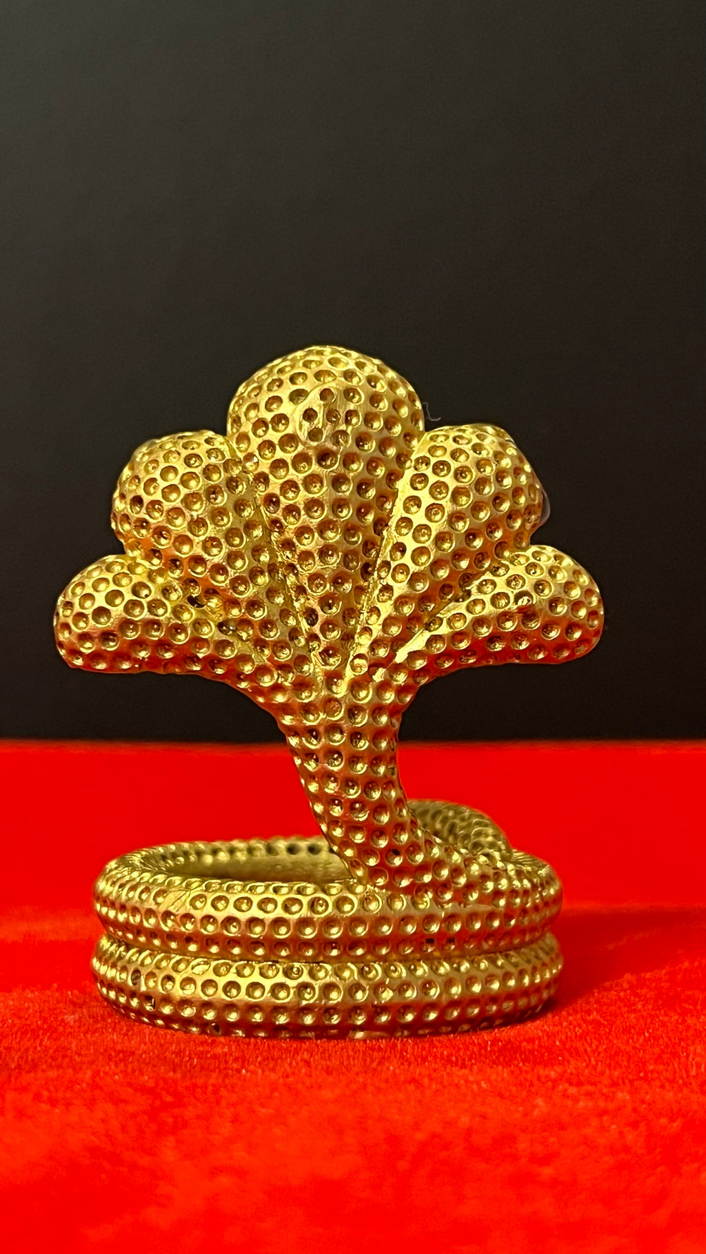 Brass Naag