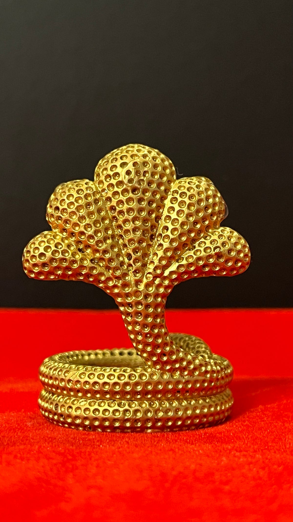 Brass Naag