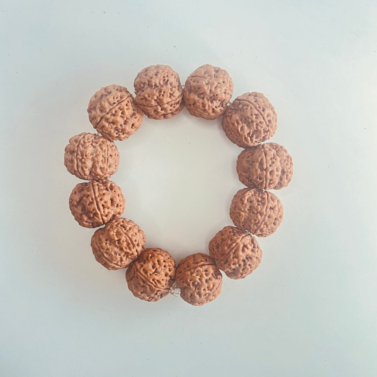 Authentic 5 Mukhi Super Collector Rare Nepali Rudraksha Bracelet