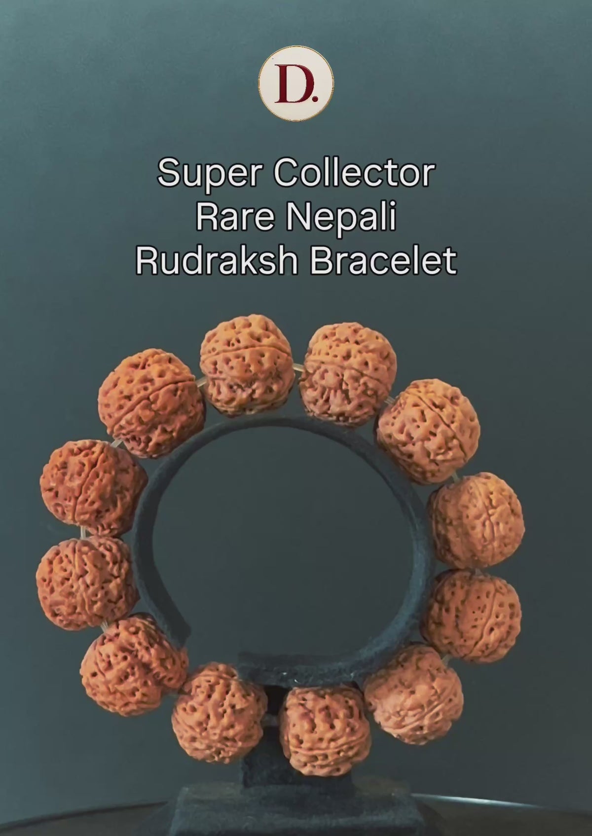 Authentic Super Collector Rare Nepali Rudraksha Bracelet